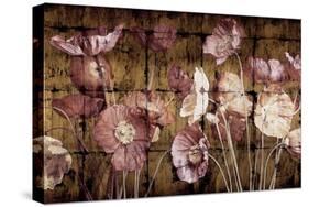 Poppies on Gold-John Seba-Stretched Canvas