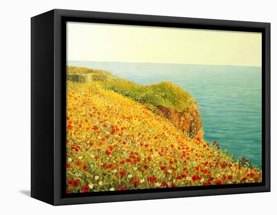 Poppies On Kaliakra-kirilstanchev-Framed Stretched Canvas