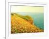 Poppies On Kaliakra-kirilstanchev-Framed Art Print