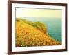 Poppies On Kaliakra-kirilstanchev-Framed Art Print