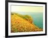 Poppies On Kaliakra-kirilstanchev-Framed Art Print