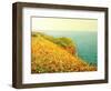 Poppies On Kaliakra-kirilstanchev-Framed Art Print