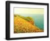 Poppies On Kaliakra-kirilstanchev-Framed Art Print