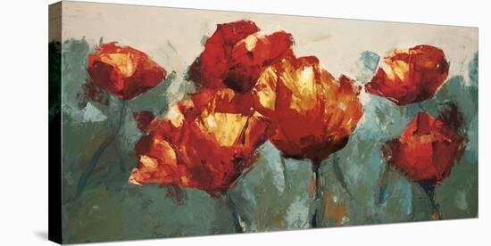 Poppies On Slate-Peter Colbert-Stretched Canvas