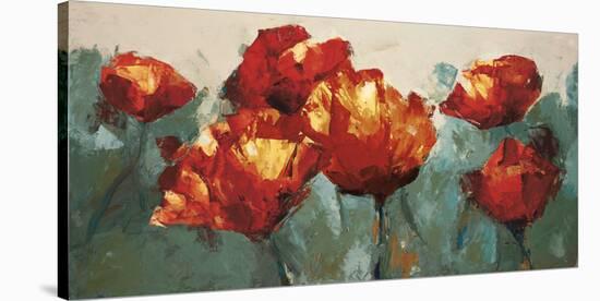 Poppies On Slate-Peter Colbert-Stretched Canvas