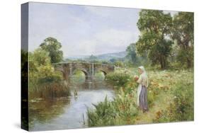 Poppies on the Riverbank-Ernest Walbourn-Stretched Canvas