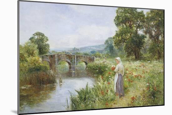 Poppies on the Riverbank-Ernest Walbourn-Mounted Giclee Print