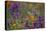 Poppies Purple Forground-Janice Sullivan-Stretched Canvas