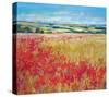 Poppies& Rolling Hills England-null-Stretched Canvas