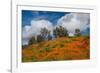 Poppies, Trees & Clouds-John Gavrilis-Framed Photographic Print