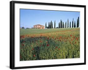 Poppies, Tuscany, Italy-Peter Adams-Framed Photographic Print