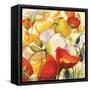 Poppies Up Close-Shirley Novak-Framed Stretched Canvas