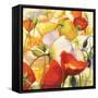 Poppies Up Close-Shirley Novak-Framed Stretched Canvas