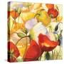 Poppies Up Close-Shirley Novak-Stretched Canvas