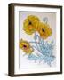 POPPIES watercolour-Linda Arthurs-Framed Giclee Print