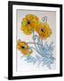 POPPIES watercolour-Linda Arthurs-Framed Giclee Print