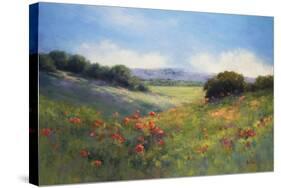 Poppies with a View-Alice Weil-Stretched Canvas