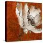 Poppies with Spice-Lanie Loreth-Stretched Canvas