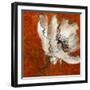 Poppies with Spice-Lanie Loreth-Framed Art Print