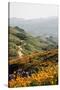 Poppies with View of Hills and the Trail at Walker Canyon, in Lake Elsinore, California-Jon Bilous-Stretched Canvas