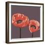 Poppies-Emily Burrowes-Framed Giclee Print