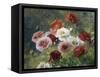 Poppies-Louis Marie Lemaire-Framed Stretched Canvas