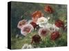 Poppies-Louis Marie Lemaire-Stretched Canvas