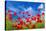 Poppies-Ale-ks-Stretched Canvas
