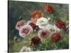 Poppies-Louis Marie Lemaire-Stretched Canvas