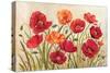 Poppies-Kimberly Poloson-Stretched Canvas