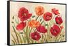 Poppies-Kimberly Poloson-Framed Stretched Canvas