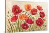 Poppies-Kimberly Poloson-Stretched Canvas