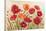 Poppies-Kimberly Poloson-Stretched Canvas