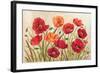 Poppies-Kimberly Poloson-Framed Premium Giclee Print