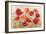 Poppies-Kimberly Poloson-Framed Premium Giclee Print