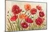 Poppies-Kimberly Poloson-Mounted Premium Giclee Print