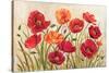 Poppies-Kimberly Poloson-Stretched Canvas