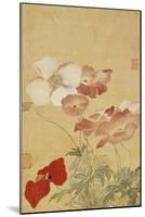 Poppies-Yun Shouping-Mounted Giclee Print