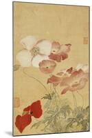 Poppies-Yun Shouping-Mounted Premium Giclee Print