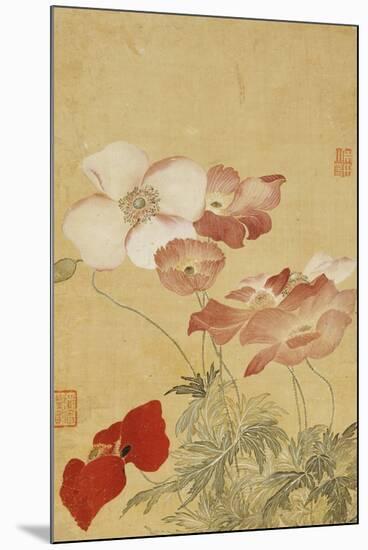 Poppies-Yun Shouping-Mounted Premium Giclee Print