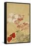 Poppies-Yun Shouping-Framed Stretched Canvas