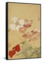 Poppies-Yun Shouping-Framed Stretched Canvas