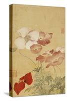 Poppies-Yun Shouping-Stretched Canvas