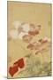 Poppies-Yun Shouping-Mounted Giclee Print