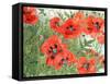 Poppies-Linda Benton-Framed Stretched Canvas