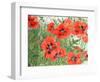 Poppies-Linda Benton-Framed Premium Giclee Print