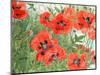 Poppies-Linda Benton-Mounted Premium Giclee Print