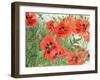 Poppies-Linda Benton-Framed Giclee Print