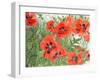 Poppies-Linda Benton-Framed Giclee Print