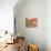 Poppies-Linda Benton-Mounted Giclee Print displayed on a wall